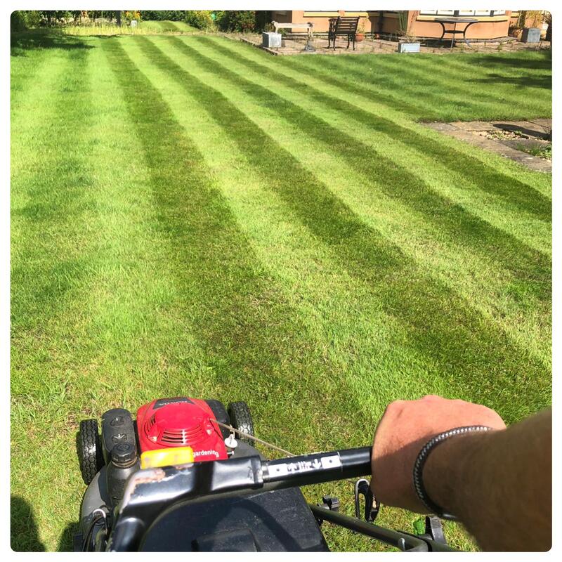 Newly mowed lawn after professional lawn care