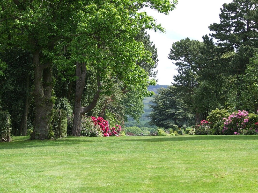 Professionally designed and landscaped garden area